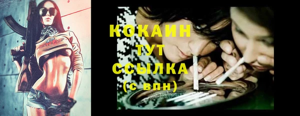 PSILOCYBIN Волоколамск