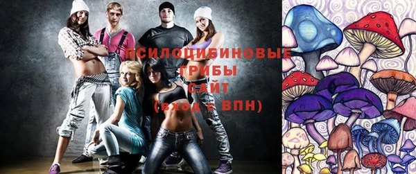 PSILOCYBIN Волоколамск