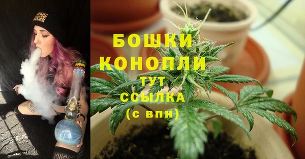 PSILOCYBIN Волоколамск