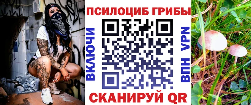 Купить закладки  Кулебаки  Галлюциногенные грибы мухоморы 